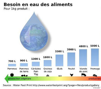 L'impact environnemental de notre alimentation