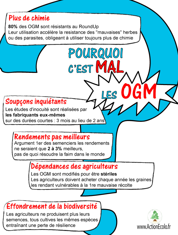 Pourquoi c'est mal, les OGM?
